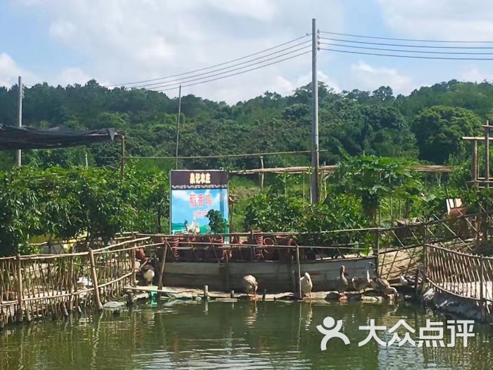 泉记生态农庄-图片-中山美食-大众点评网