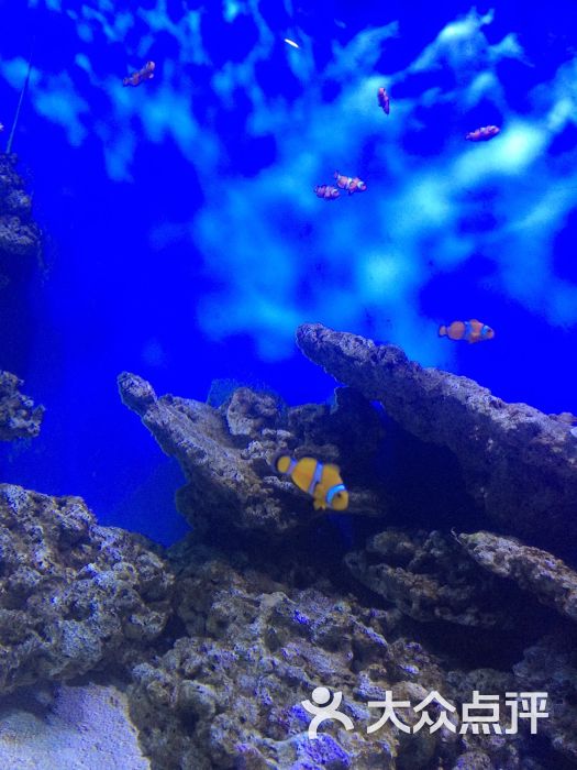 大武汉旅游卡-武汉景区旅游年卡-图片-武汉生活