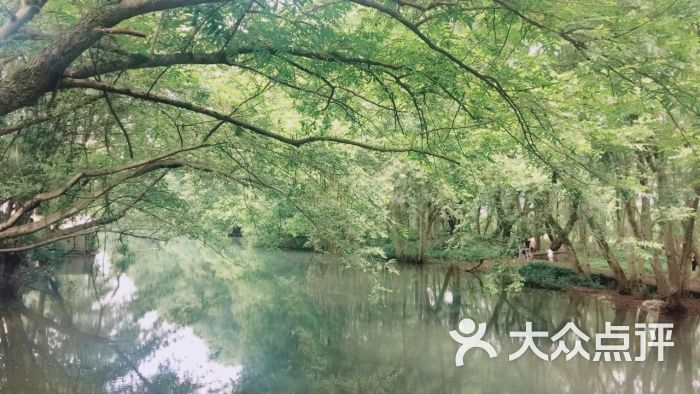 西溪南古村落景区-图片-黄山周边游-大众点评网