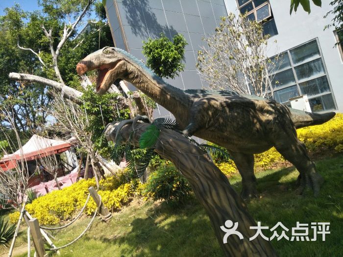 恐龙梦公园-图片-厦门周边游-大众点评网