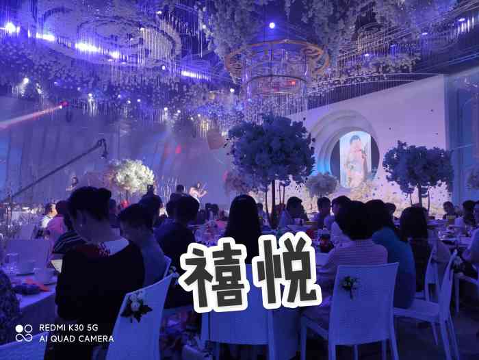 禧悦酒店·宴会厅-"很不错的酒店,应该是新开不久的.装潢设计.
