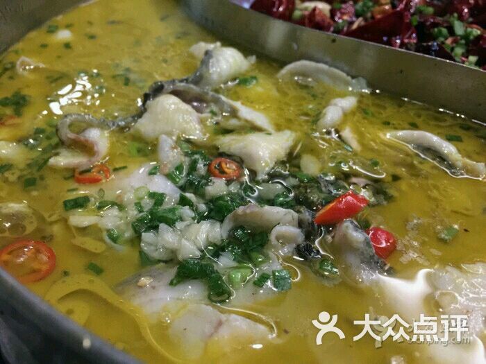 江南鱼捞图片 - 第1张