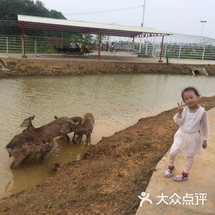 大唐花海-图片-韶关周边游