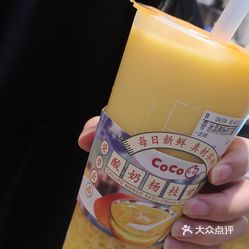 coco都可(芦墟浦南路店)的冰激凌杨枝甘露好不好吃?