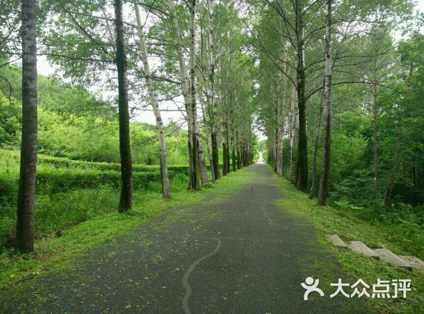 小兴安岭植物园图片 - 第2张