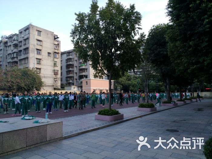 广州市花都区新华第四小学图片 第12张