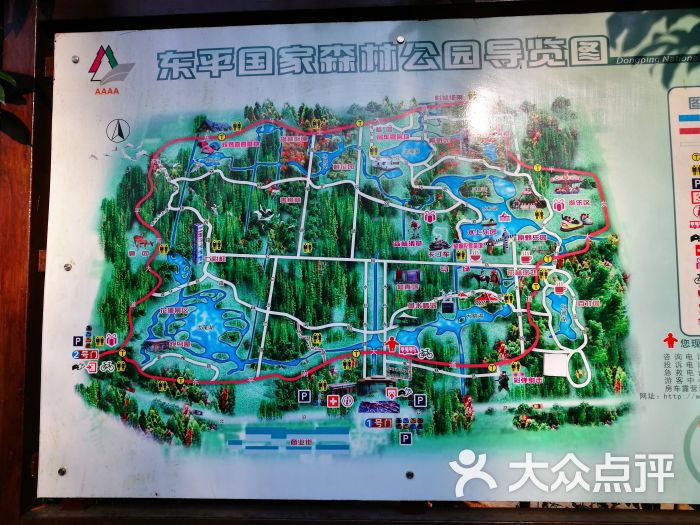 东平国家森林公园图片 - 第41张