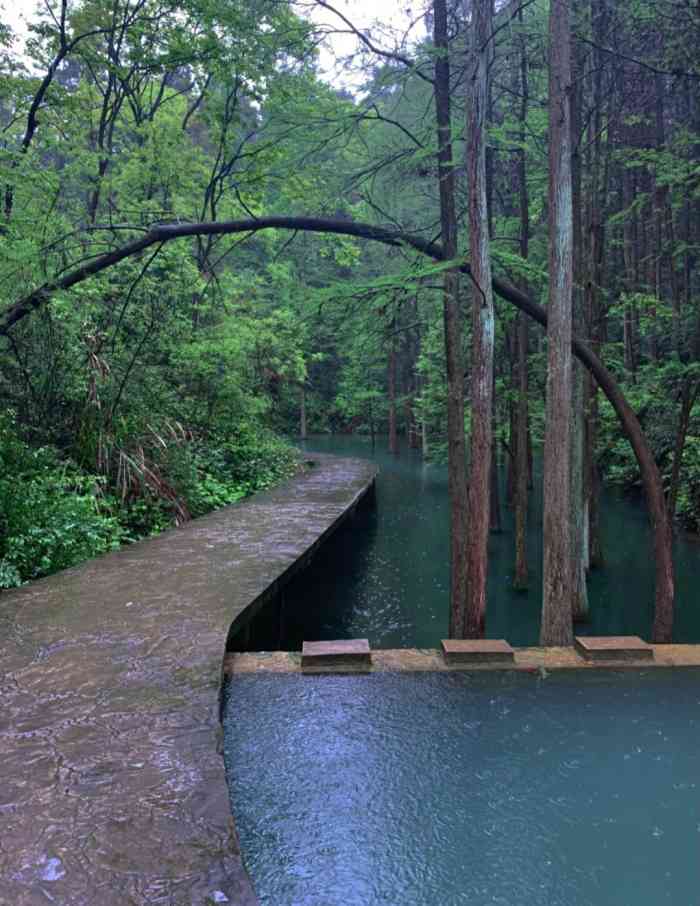 大山冲森林公园-"长沙县附近的大氧吧.偶然从新闻中,.