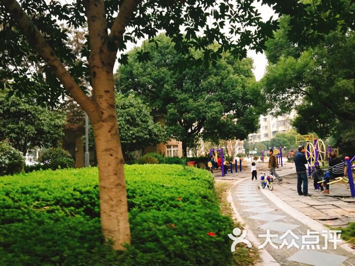 姚江花园小区环境图片 - 第2张
