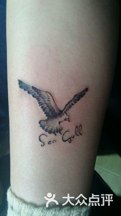 自由之翼纹身工作室tattoo图片 - 第410张
