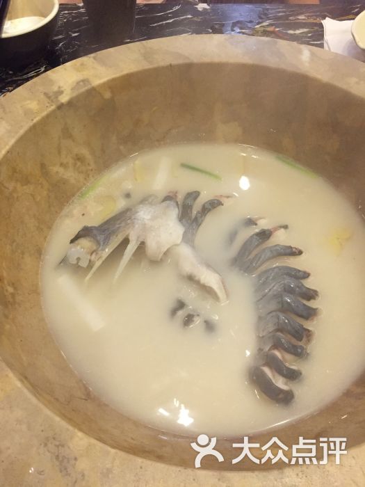 鸭嘴鱼