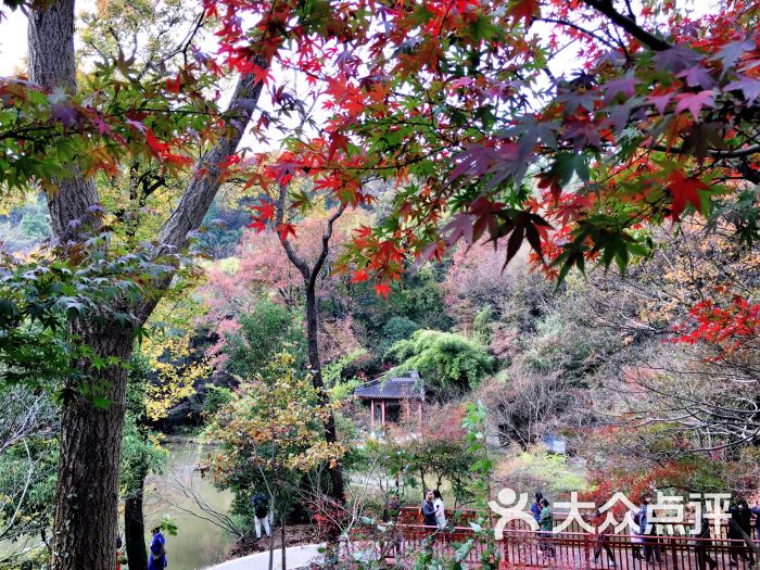 栖霞山名胜风景区景点图片 - 第2452张