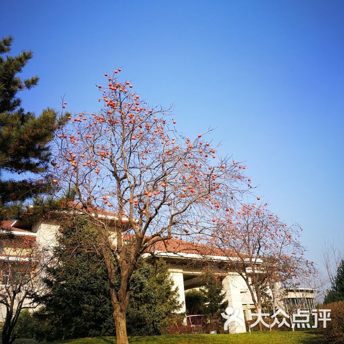 河北翠屏山迎宾馆图片-北京豪华型-大众点评网