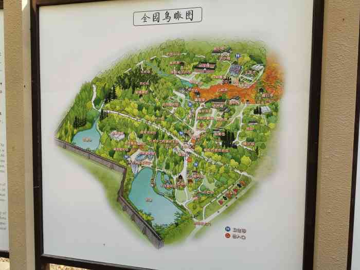 中山植物园-"这里绝对是南京空气清新的好地方,树木.