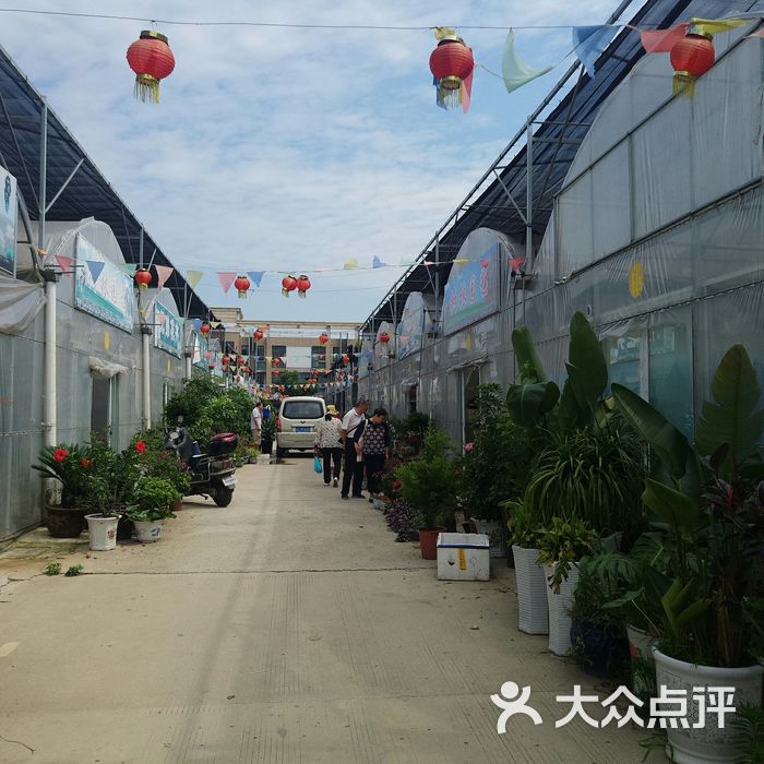花鸟市场镇江南站
