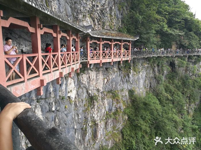 张家界天门山国家森林公园-图片-张家界景点/周边游-大众点评网