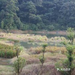 石门有多少人口_佛山市石门高中多少分