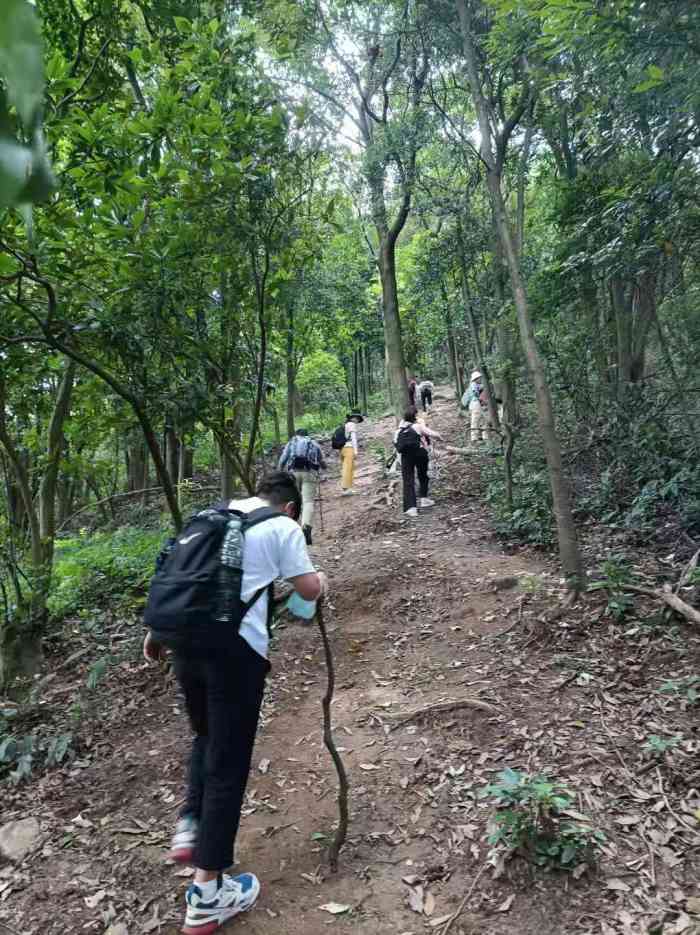 黄埔油麻山森林公园-"补发,补发,去了之后一直没时间.