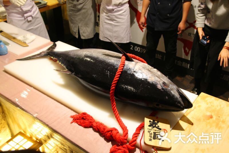蓝鳍金枪鱼