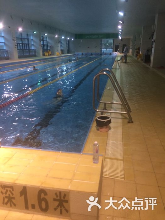 宝安体育馆游泳馆-图片-深圳运动健身