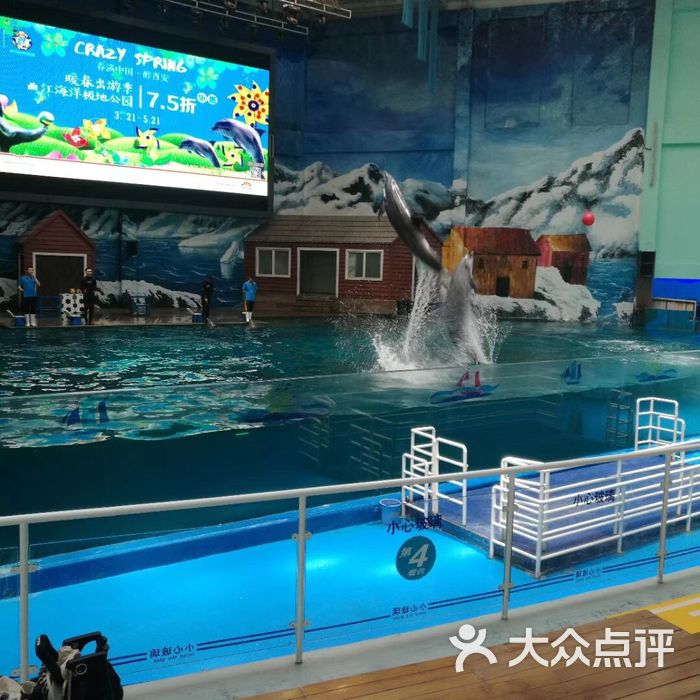 西安曲江海洋极地公园