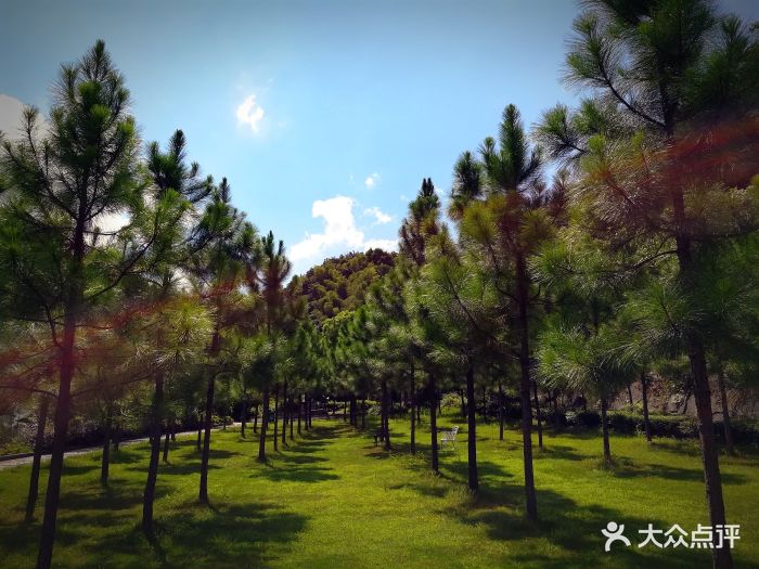 鲤龙潭森林公园-图片-象山景点/周边游-大众点评网