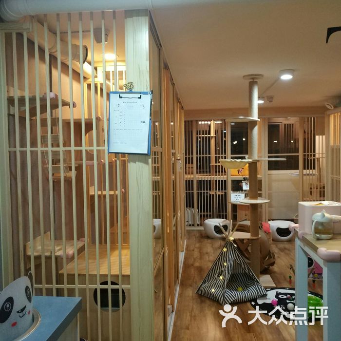 猫小伴·喵宿·寄养图片-北京宠物店-大众点评网