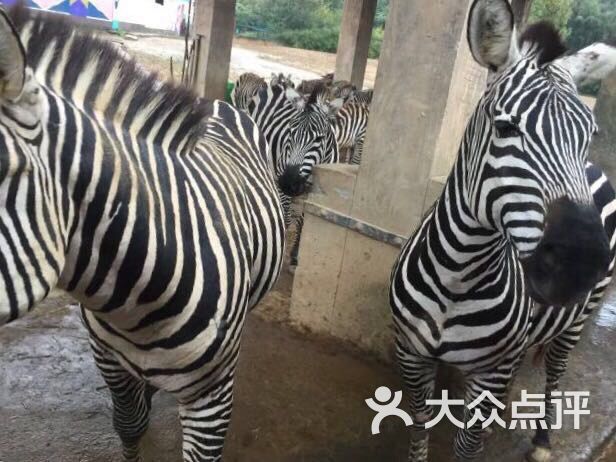 杭州野生动物世界