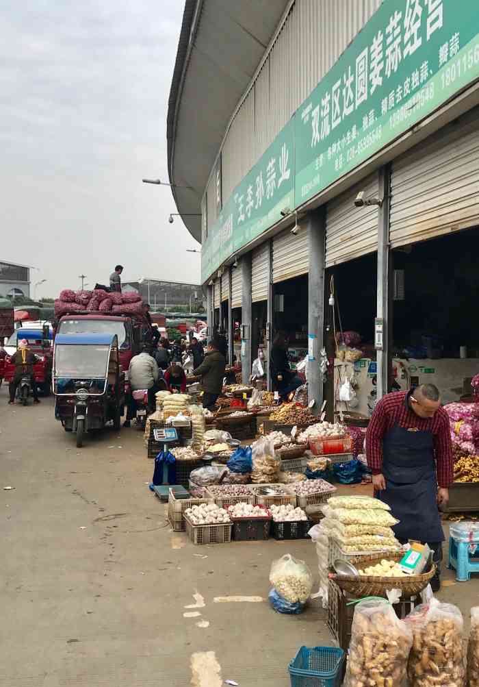 双流白家蔬菜批发市场-"号称最大的批发市场,今天过来