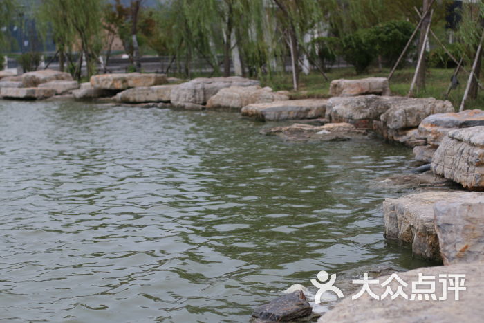 星海湖公园图片 - 第10张