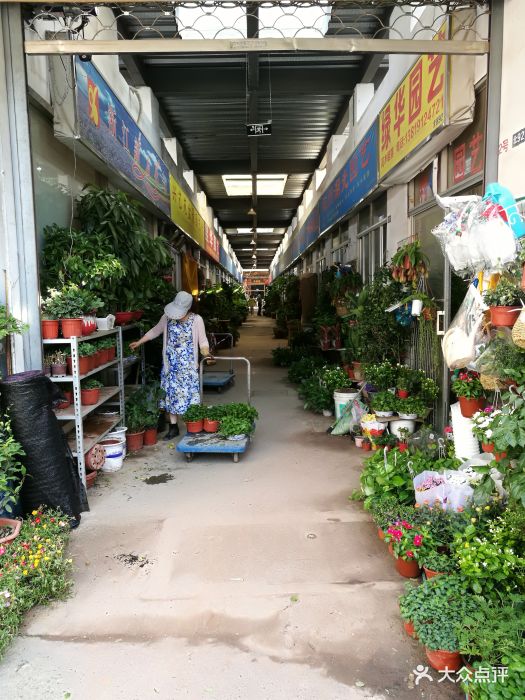 凤起花鸟市场-图片-杭州购物-大众点评网