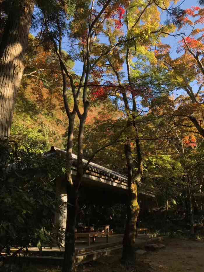 瑞宝寺公园-"瑞宝寺公园68有马瑞宝寺公园被建在明治初.