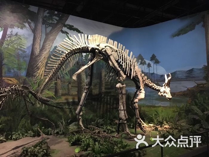 天津自然博物馆图片 第3507张