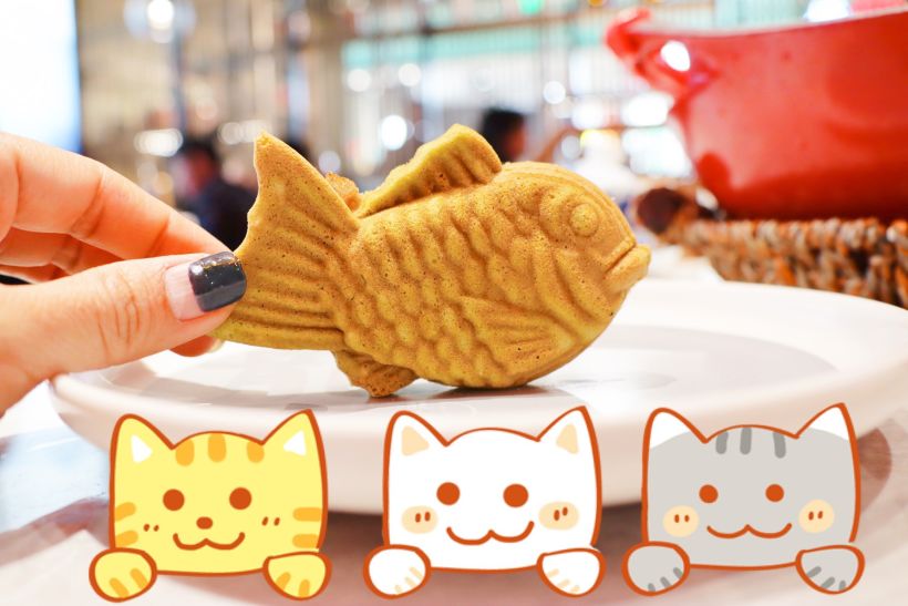 猫猫,猫猫爱吃鱼,那我们就来吃鲷鱼烧 鲷鱼烧(taiyaki)是传统的日式