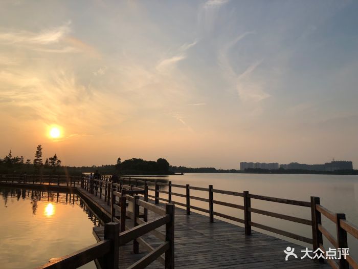 虎丘湿地公园图片 - 第87张