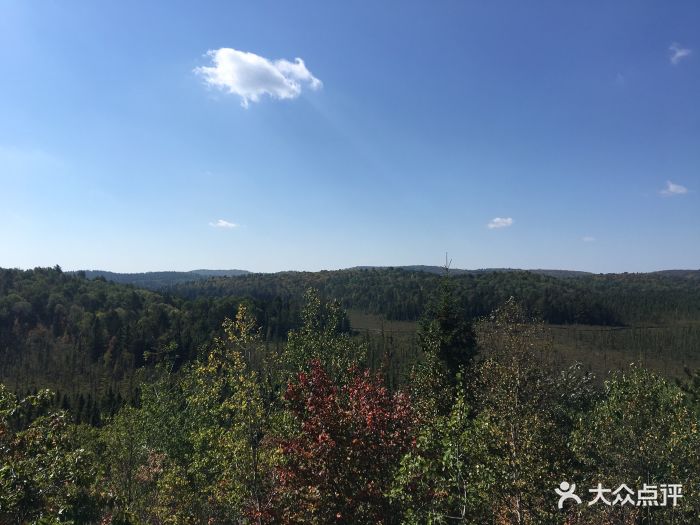 跟着UTStGeorge的中国留学生协会去的,还有