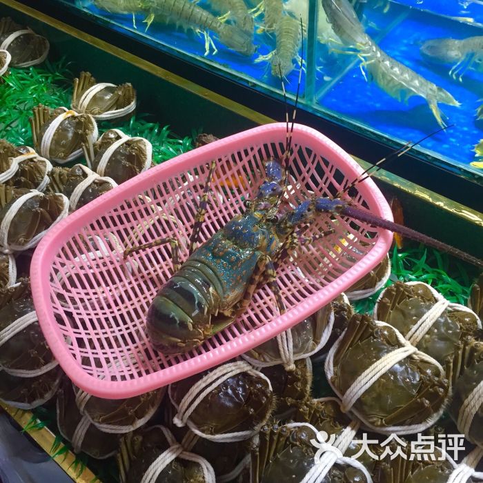 黄沙海鲜水产交易市场-黄沙水产交易市场图片-广州美食-大众点评网