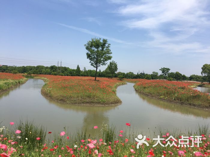 花开海上生态园景点图片 - 第1222张