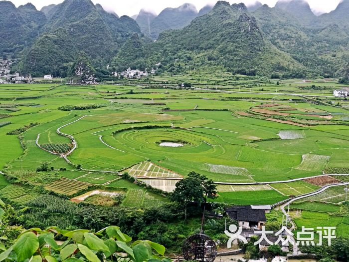 景点八卦田