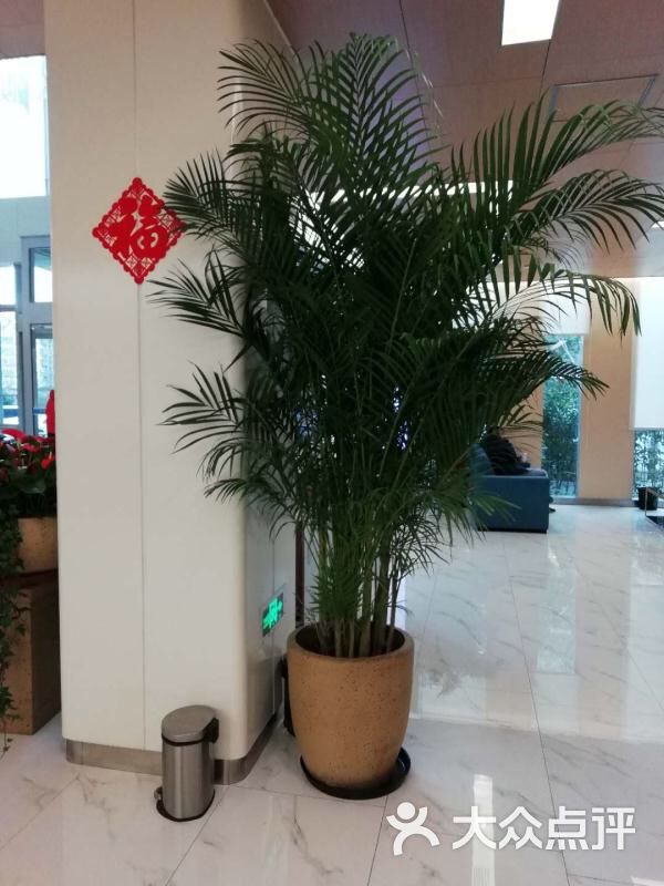 全景医学影像诊断中心