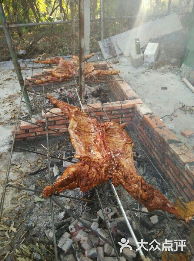 深圳周边东莞农家乐松湖生态园野炊烧烤美食06