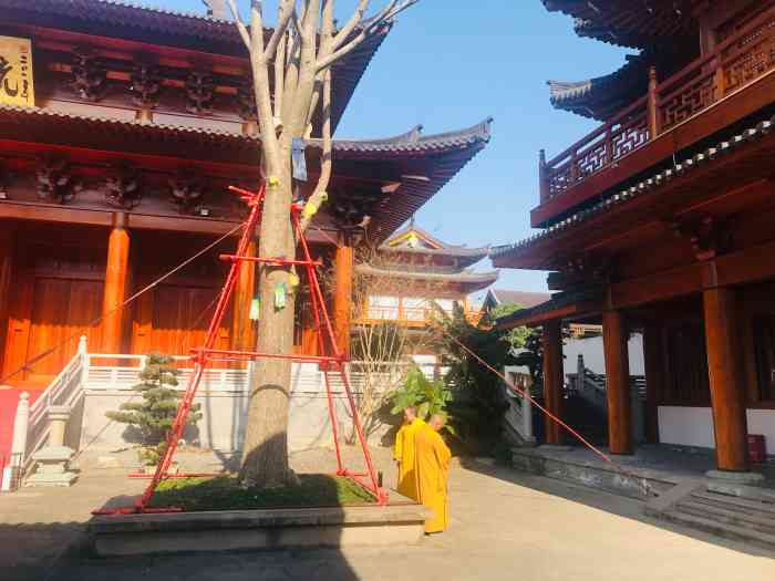宝庆禅寺-"在too much的世界里需要删减的何止."-大众点评移动版