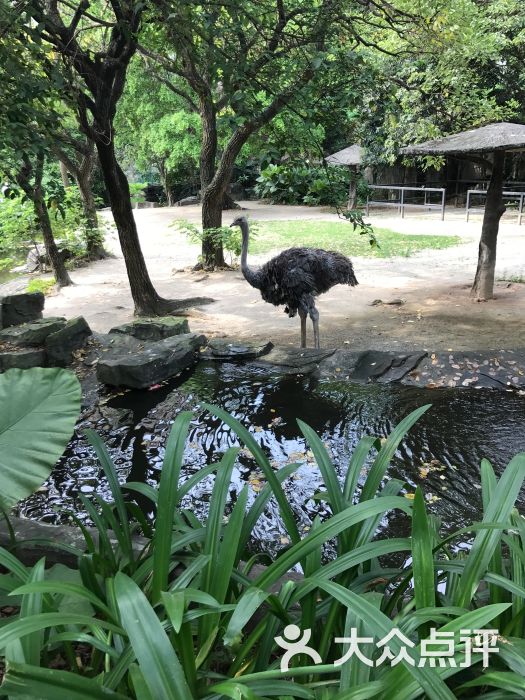 广州动物园图片 - 第1张