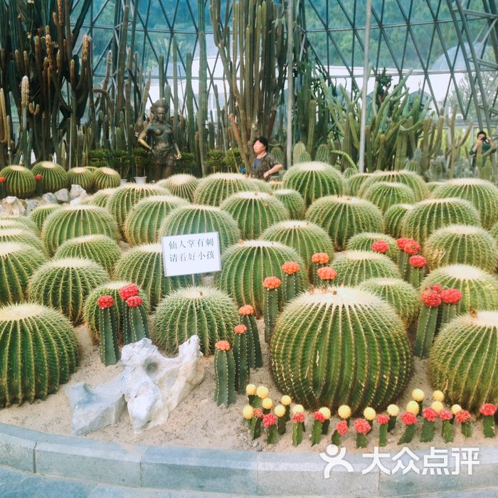 沙漠植物区图片-北京植物园-大众点评网