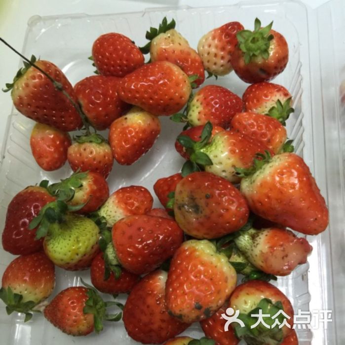 烂草莓