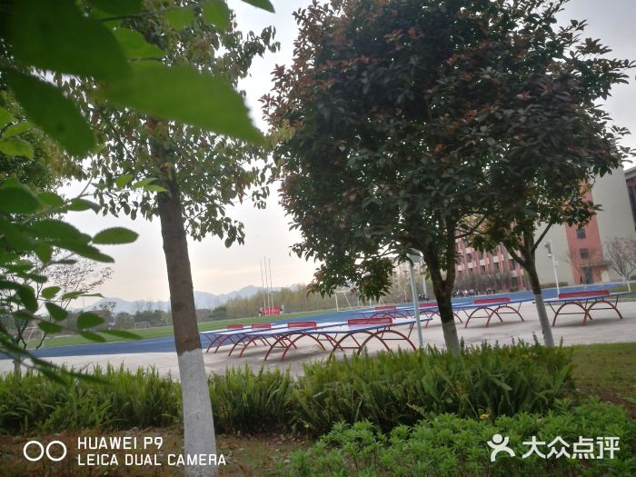 重庆两江新区西南大学附属中学(竹林校区)图片