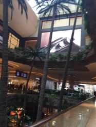 DFS环球免税店澳门T广场(四季名店)(四季名店