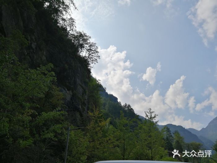 金佛山北坡景区图片 - 第35张