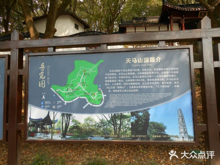 上海佘山国家森林公园天马山园图片