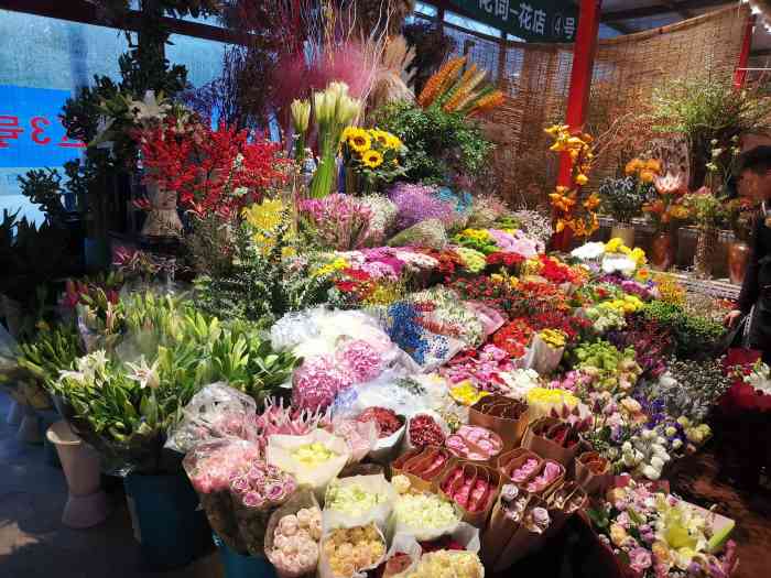 孙河北东花艺苑-"离家最近的花卉市场,在京顺路孙河.